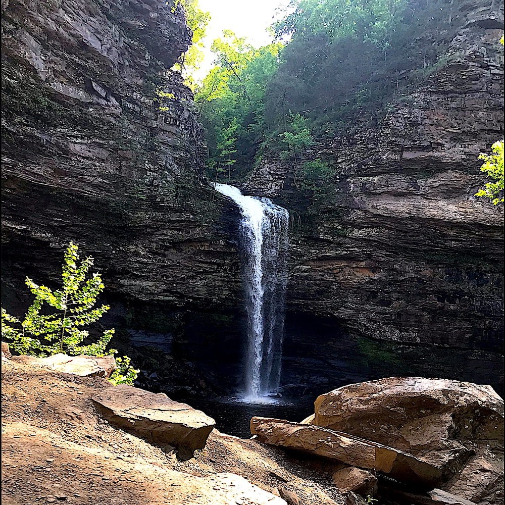 Forward Stillness: Your Destination for Curated, Timeless & Sustainable Style.